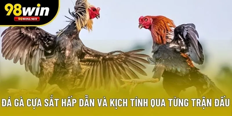 da-ga-cua-sat